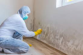 Biohazard Mold Removal in Bartow, FL